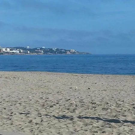 Levante *
